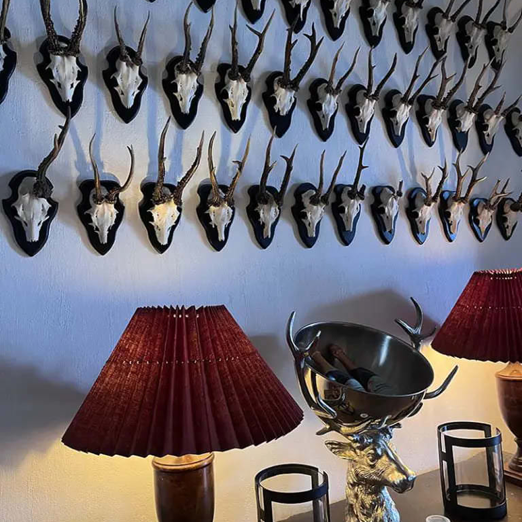 Our Founder Talks About Her Inspiration | Gilly Nicolson