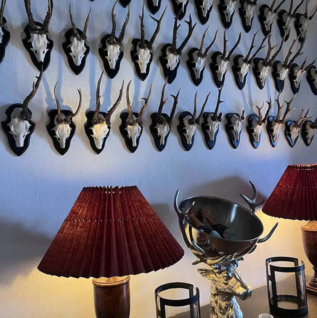 Our Founder Talks About Her Inspiration | Gilly Nicolson