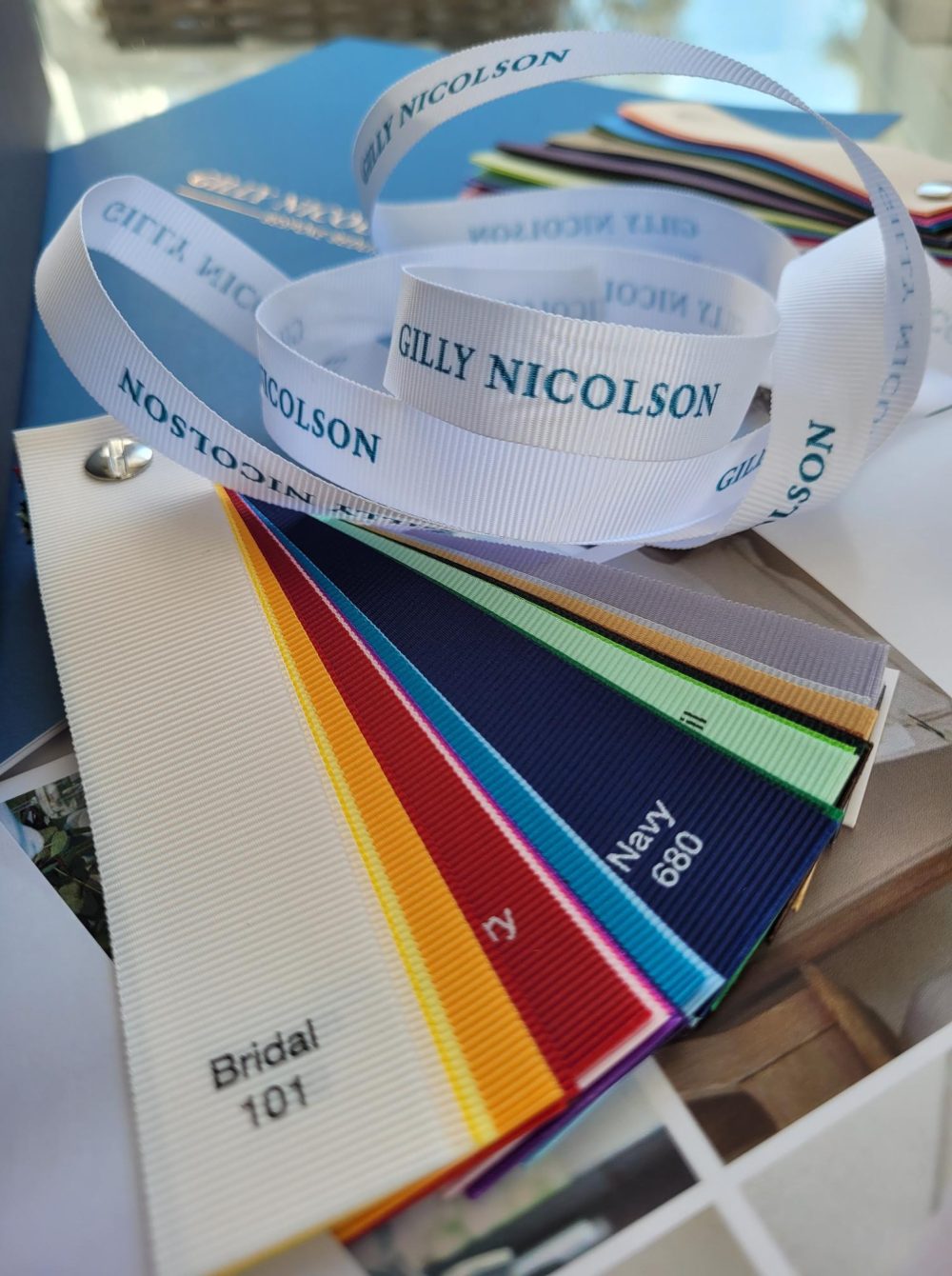 gilly nicolson grosgrain ribbon colours in sample box