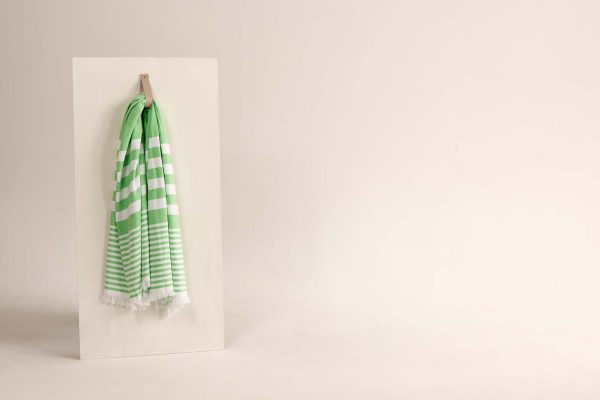 gilly nicolson apple green beach towel