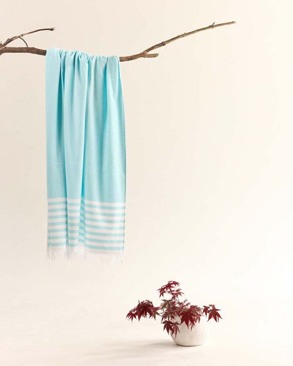 gilly nicolson aqua beach towels